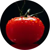Lycopene