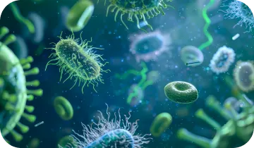 Gut Health